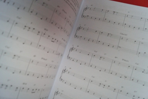 George Gershwin - 21 well-known Classics Songbook Notenbuch Easy Piano