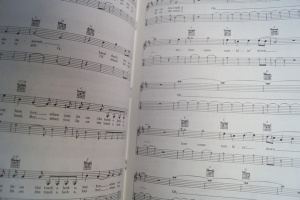 Aerosmith - Best of for Guitar Songbook Notenbuch Vocal Guitar