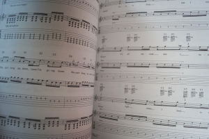 12 Stones - 12 Stones Songbook Notenbuch Vocal Guitar