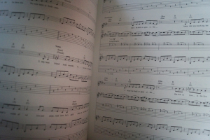 Verve Pipe - Villains Songbook Notenbuch Vocal Guitar