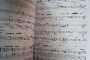 Collective Soul - Disciplined Breakdown Songbook Notenbuch Vocal Guitar