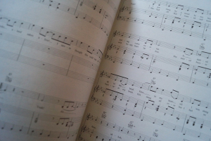 Elvis - 2nd to None Songbook Notenbuch Piano Vocal Guitar PVG