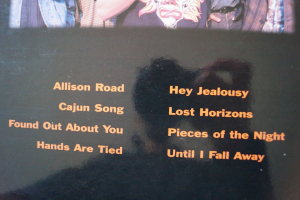 Gin Blossoms - New miserable Experience Songbook Notenbuch Vocal Guitar