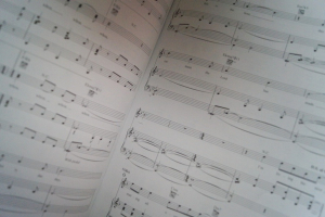 Steven Curtis Chapman - Speechless Songbook Notenbuch Piano Vocal Guitar PVG