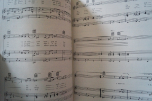 Stevie Wonder - Songbook Songbook Notenbuch Piano Vocal Guitar PVG