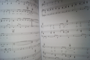 Avril Lavigne - Goodbye Lullaby Songbook Notenbuch Piano Vocal Guitar PVG