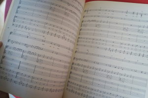 Beatles - Please please me Songbook Notenbuch für Bands (Transcribed Scores)