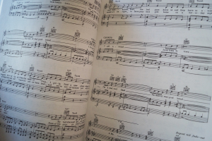 Beach Boys - Complete (alte Ausgabe) Songbook Notenbuch Piano Vocal Guitar PVG