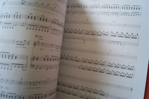 Ben Folds - Rockin the Suburbs Songbook Notenbuch Piano Vocal