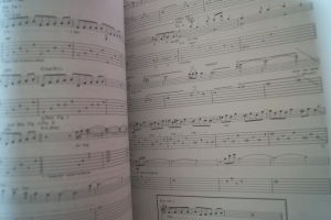 Joe Satriani - Surfing with the Alien (ohne Poster) Songbook Notenbuch Vocal Guitar