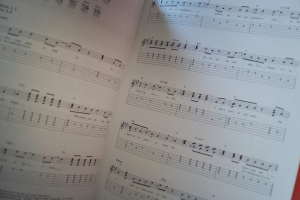 Sarah McLachlan - The Songs of Songbook Notenbuch Vocal Easy Guitar