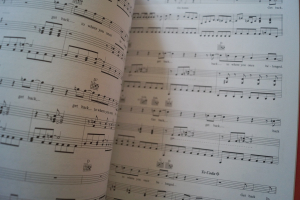 Beatles - 1 (ältere Ausgabe) Songbook Notenbuch Piano Vocal Guitar PVG