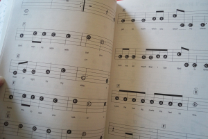 Elvis - His Love Songs Songbook Notenbuch Easy Piano Vocal