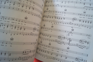 Elvis - The Essential Songbook Notenbuch Piano Vocal Guitar PVG