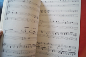 Lynyrd Skynyrd - Guitar Transcriptions Songbook Notenbuch Vocal Guitar