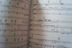 Celine Dion - These are Special Times Songbook Notenbuch Piano Vocal Guitar PVG