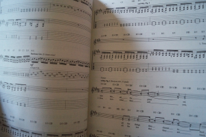 Staind - Chapter V Songbook Notenbuch Vocal Guitar