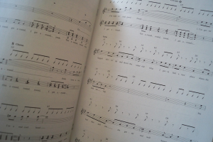 Beach Boys - Greatest Hits Songbook Notenbuch Vocal Guitar