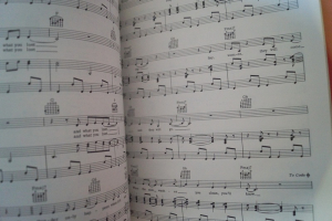 Fleetwood Mac - Greatest Hits Songbook Notenbuch Piano Vocal Guitar PVG