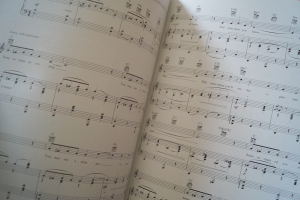 Rodgers & Hammerstein - The Illustrated Songbook Songbook Notenbuch Piano Vocal Guitar PVG