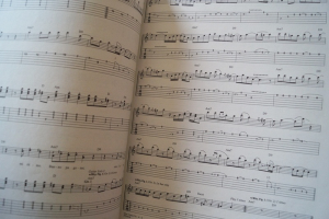 Santana - Dance of the Rainbow Serpent Vol.1 Songbook Notenbuch Vocal Guitar