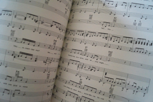 Little River Band - The Net Songbook Notenbuch Piano Vocal Guitar PVG