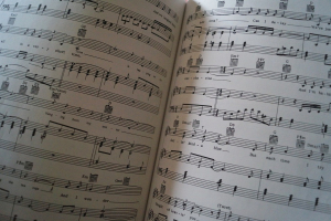 Paul Simon - Early & Solo Years Songbooks Notenbücher Piano Vocal Guitar PVG