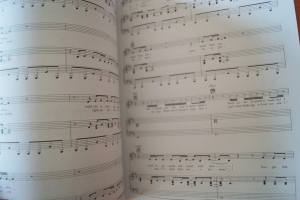 Taylor Swift - 1989 Songbook Notenbuch Piano Vocal Guitar PVG