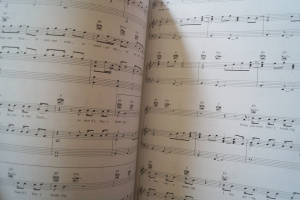 Sam Smith - Love goes Songbook Notenbuch Piano Vocal Guitar PVG