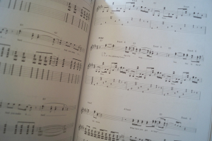 Crosby Stills Nash - Guitar Play along (mit Audiocode) Songbook Notenbuch Vocal Guitar