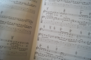 Doors - Ultimate Easy Guitar Play along (mit DVD) Songbook Notenbuch Vocal Easy Guitar