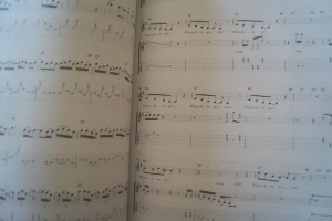 Guns n Roses - Guitar Play along (mit CD) Songbook Notenbuch Vocal Guitar