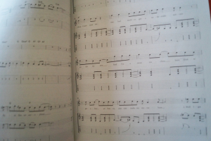 Guns n Roses - Guitar Play along (mit CD) Songbook Notenbuch Vocal Guitar