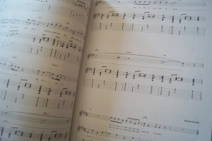 Eagles - Acoustic Guitar Play along (mit CD) Songbook Notenbuch Vocal Guitar