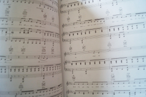 Sara Bareilles - Kaleidoscope Heart Songbook Notenbuch Piano Vocal Guitar PVG