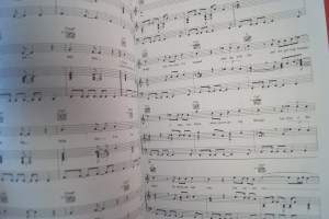 Seal - The Hits Songbook Notenbuch Piano Vocal Guitar PVG