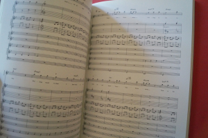 Psychedelic Violence - Jealousy Songbook Notenbuch für Bands (Transcribed Scores)