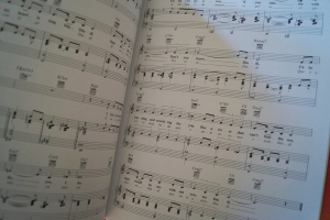 Antonio Carlos Jobim - Favorites (Piano Play along, mit CD) Songbook Notenbuch Piano Vocal Guitar PVG