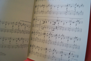 Beatles - Fingerpicking Beatles (alte Ausgabe) Songbook Notenbuch Vocal Guitar