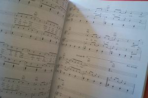 Beatles - The Singles Collection Songbook Notenbuch Piano Vocal Guitar PVG