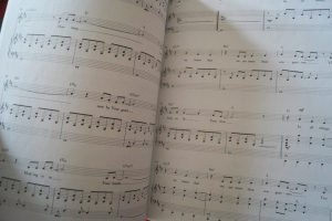 Passion - Awakening Songbook Notenbuch Piano Vocal Guitar PVG