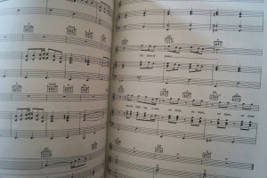 Crosby Stills Nash Young - American Dream Songbook Notenbuch Piano Vocal Guitar PVG