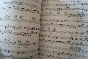 Crosby Stills Nash Young - American Dream Songbook Notenbuch Piano Vocal Guitar PVG