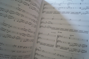 Beatles - 15 Classic Songs (Mid Intermediate) Songbook Notenbuch Guitar