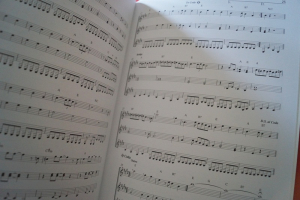 Beatles - 15 Classic Songs (Early Intermediate) Songbook Notenbuch Guitar