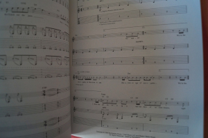 Rage against the Machine - Renegades Songbook Notenbuch Vocal Guitar
