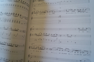 T-Bone Walker - Guitar Play along (mit Audiocode) Songbook Notenbuch Guitar