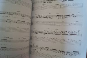 Metallica - Play Guitar with 1 & 2 (mit 2CDs) Songbook Notenbuch Vocal Guitar