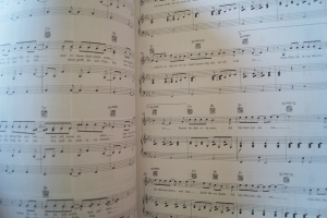 Bosse - Songbook Songbook Notenbuch Piano Vocal Guitar PVG