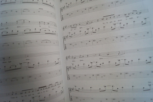 Doors - The Best of Songbook Notenbuch Vocal Guitar